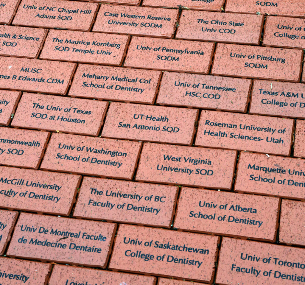 bricks